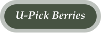 U-Pick Berries