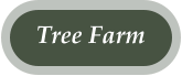 Tree Farm