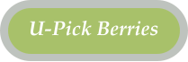 U-Pick Berries