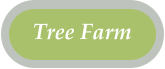 Tree Farm